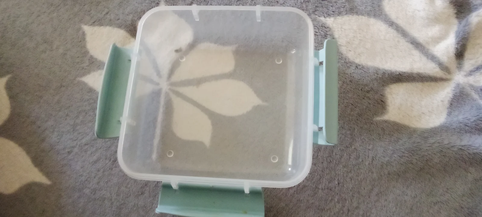 Food container