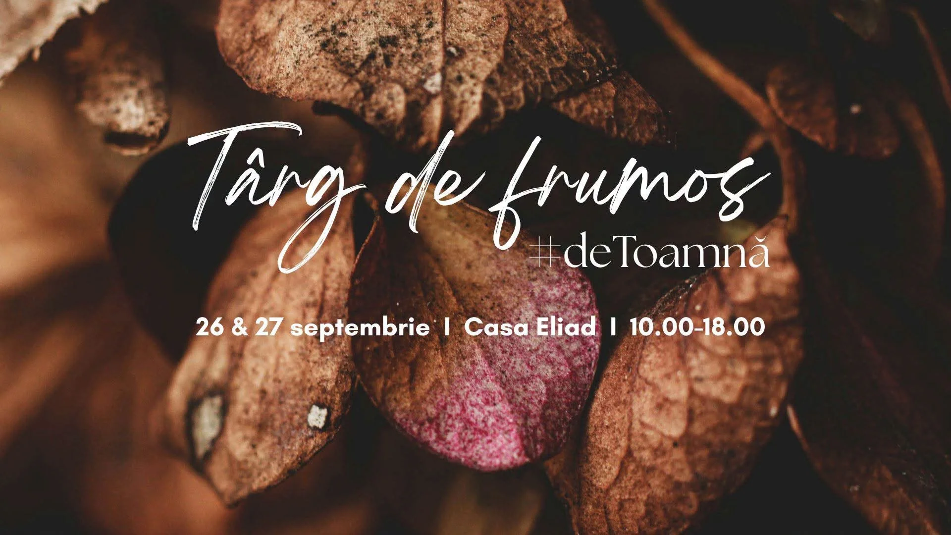 Târg de Frumos