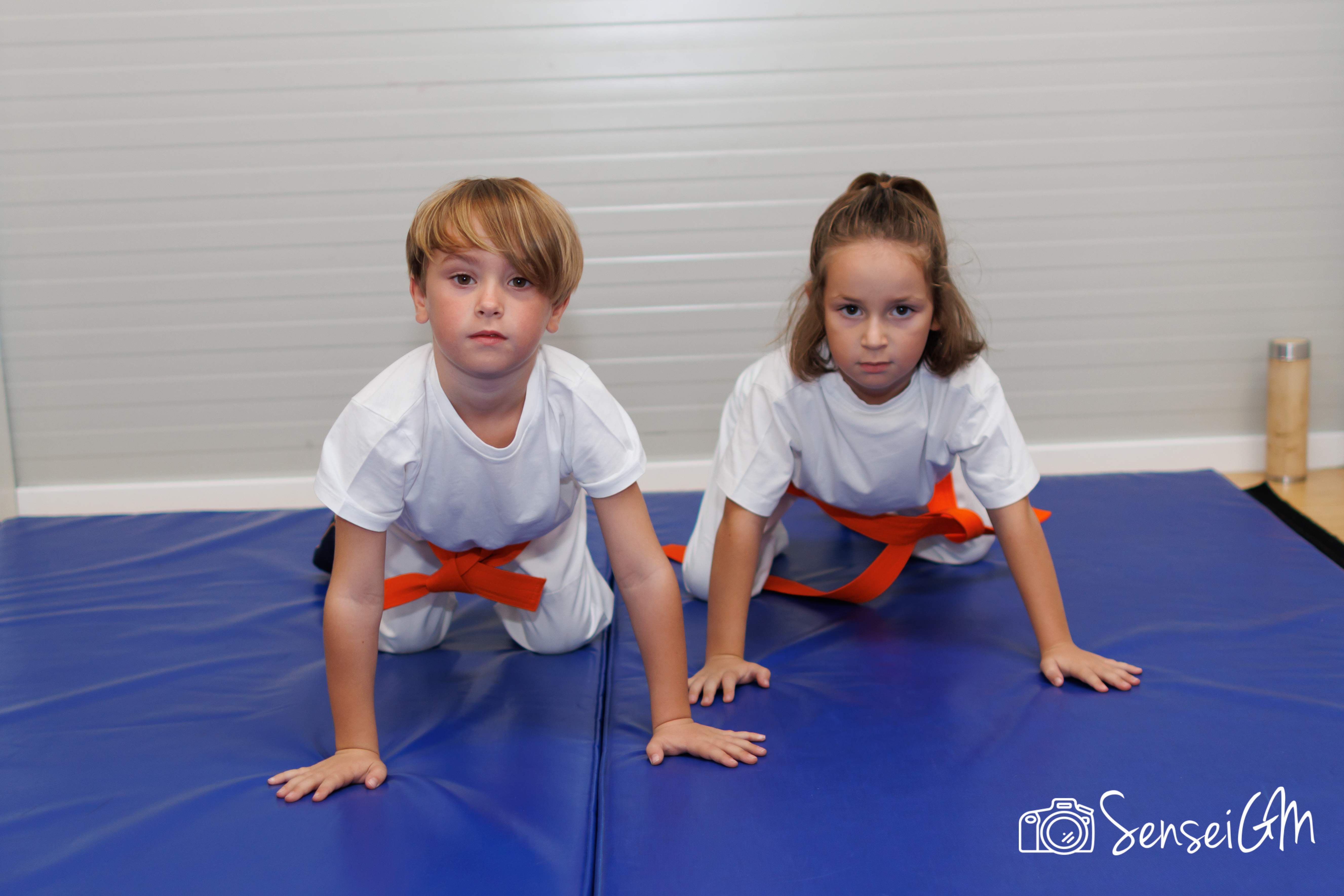 Aikido Club Aiki-Concept